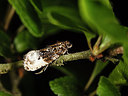 BUITEN BEELD Foto: 205855