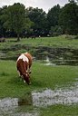 BUITEN BEELD Foto: 205870