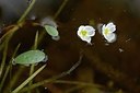 BUITEN BEELD Foto: 206009