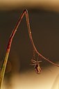 BUITEN BEELD Foto: 206183