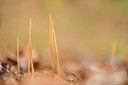 BUITEN BEELD Foto: 206330