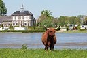 BUITEN BEELD Foto: 206353