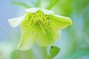 BUITEN BEELD Foto: 206467