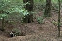 BUITEN BEELD Foto: 206560