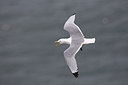BUITEN BEELD Foto: 206626