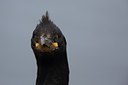 BUITEN BEELD Foto: 206631