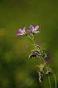 BUITEN BEELD Foto: 206908