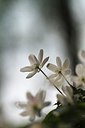 BUITEN BEELD Foto: 207048