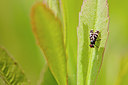 BUITEN BEELD Foto: 207128