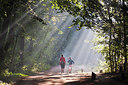 BUITEN BEELD Foto: 207191