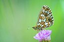 BUITEN BEELD Foto: 207243