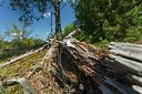 BUITEN BEELD Foto: 207305