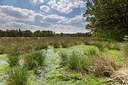 BUITEN BEELD Foto: 207323