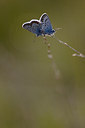 BUITEN BEELD Foto: 207347