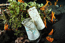BUITEN BEELD Foto: 207687