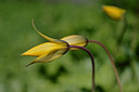 BUITEN BEELD Foto: 207993