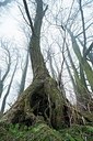 BUITEN BEELD Foto: 208297