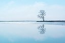 BUITEN BEELD Foto: 208340