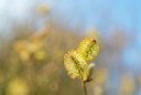 BUITEN BEELD Foto: 208354