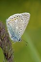BUITEN BEELD Foto: 208448