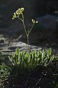 BUITEN BEELD Foto: 208566