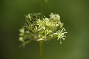 BUITEN BEELD Foto: 208610