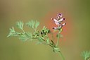 BUITEN BEELD Foto: 208637