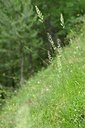 BUITEN BEELD Foto: 208702