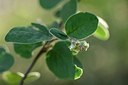 BUITEN BEELD Foto: 208774