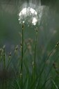 BUITEN BEELD Foto: 208860