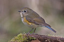 BUITEN BEELD Foto: 20202