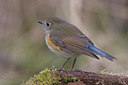 BUITEN BEELD Foto: 20206