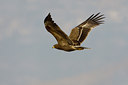 BUITEN BEELD Foto: 20239