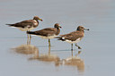 BUITEN BEELD Foto: 20286