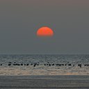 BUITEN BEELD Foto: 20298