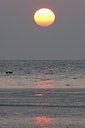 BUITEN BEELD Foto: 20299