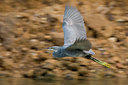 BUITEN BEELD Foto: 20510