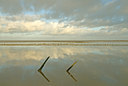 BUITEN BEELD Foto: 20529