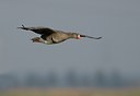 BUITEN BEELD Foto: 20558