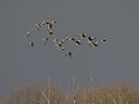 BUITEN BEELD Foto: 20567
