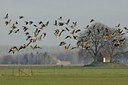BUITEN BEELD Foto: 20581