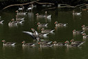 BUITEN BEELD Foto: 20652