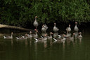 BUITEN BEELD Foto: 20653