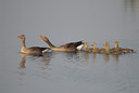 BUITEN BEELD Foto: 20655