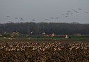 BUITEN BEELD Foto: 20662
