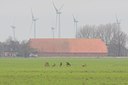 BUITEN BEELD Foto: 20670