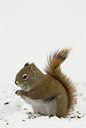 BUITEN BEELD Foto: 20779