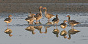 BUITEN BEELD Foto: 20800