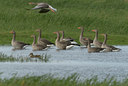 BUITEN BEELD Foto: 20808