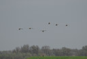 BUITEN BEELD Foto: 20812